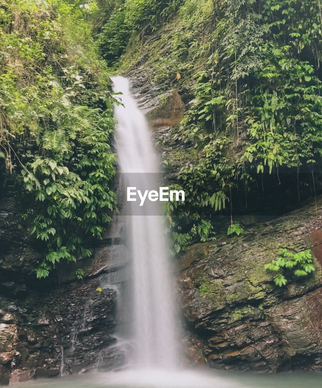 SCENIC VIEW OF WATERFALL AGAINST TREES