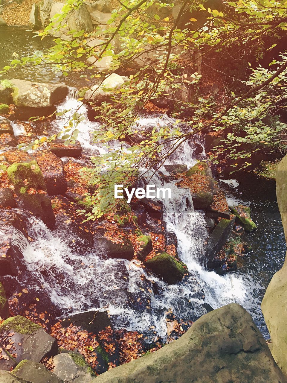 WATERFALL IN FOREST