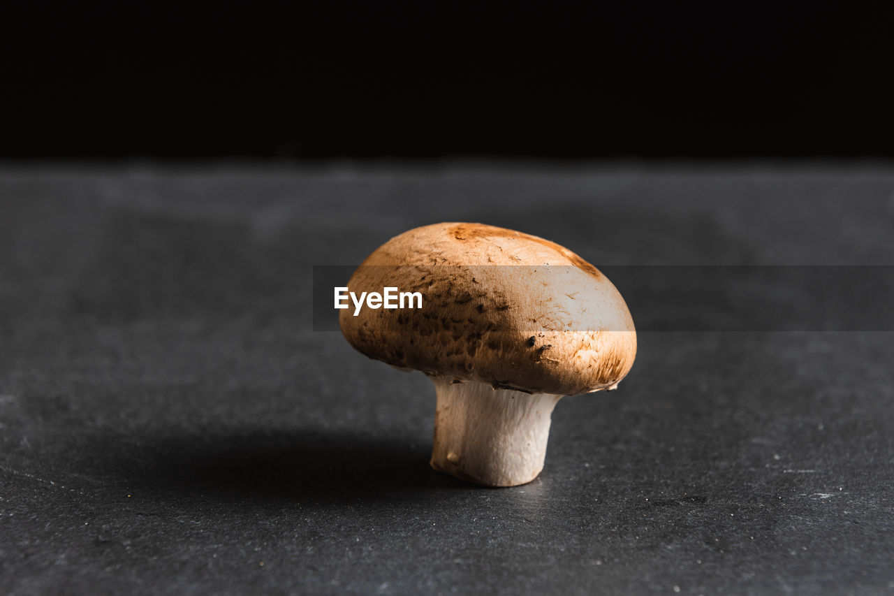 A solitary mushroom on a slate board