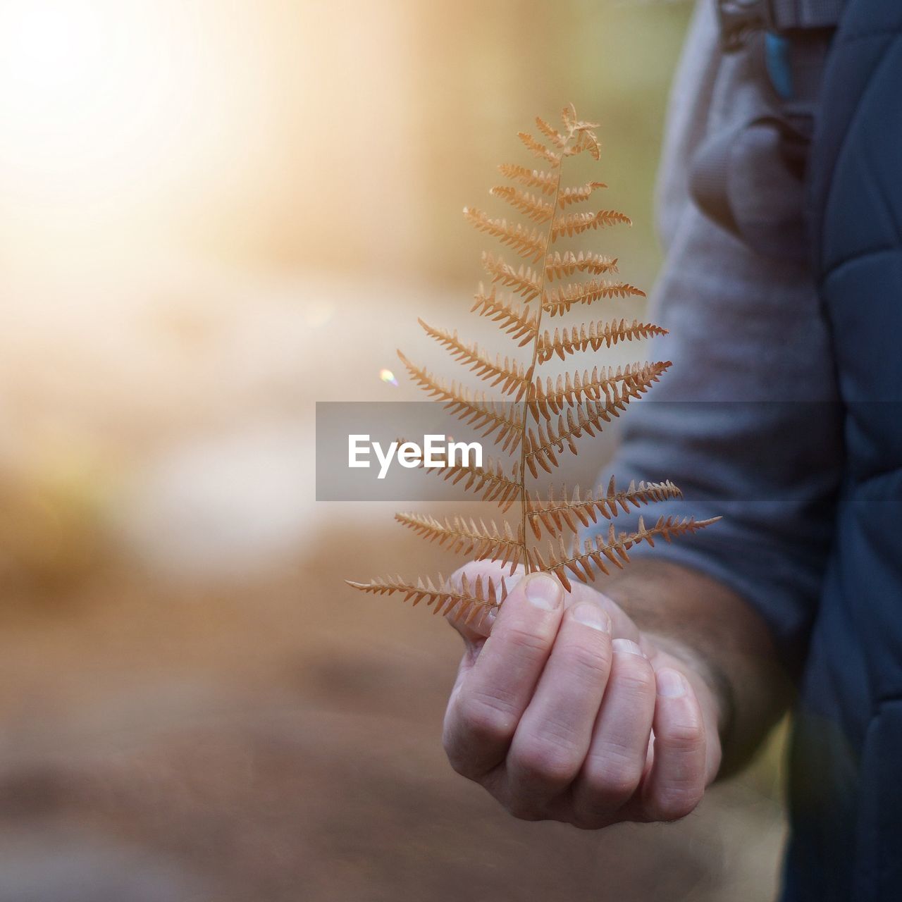 Midsection of man holding dry leaves