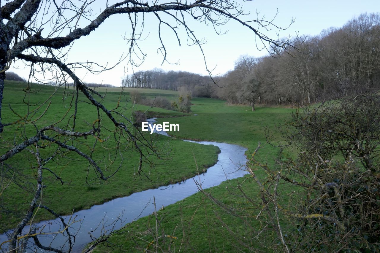 SCENIC VIEW OF LAKE AGAINST TREES