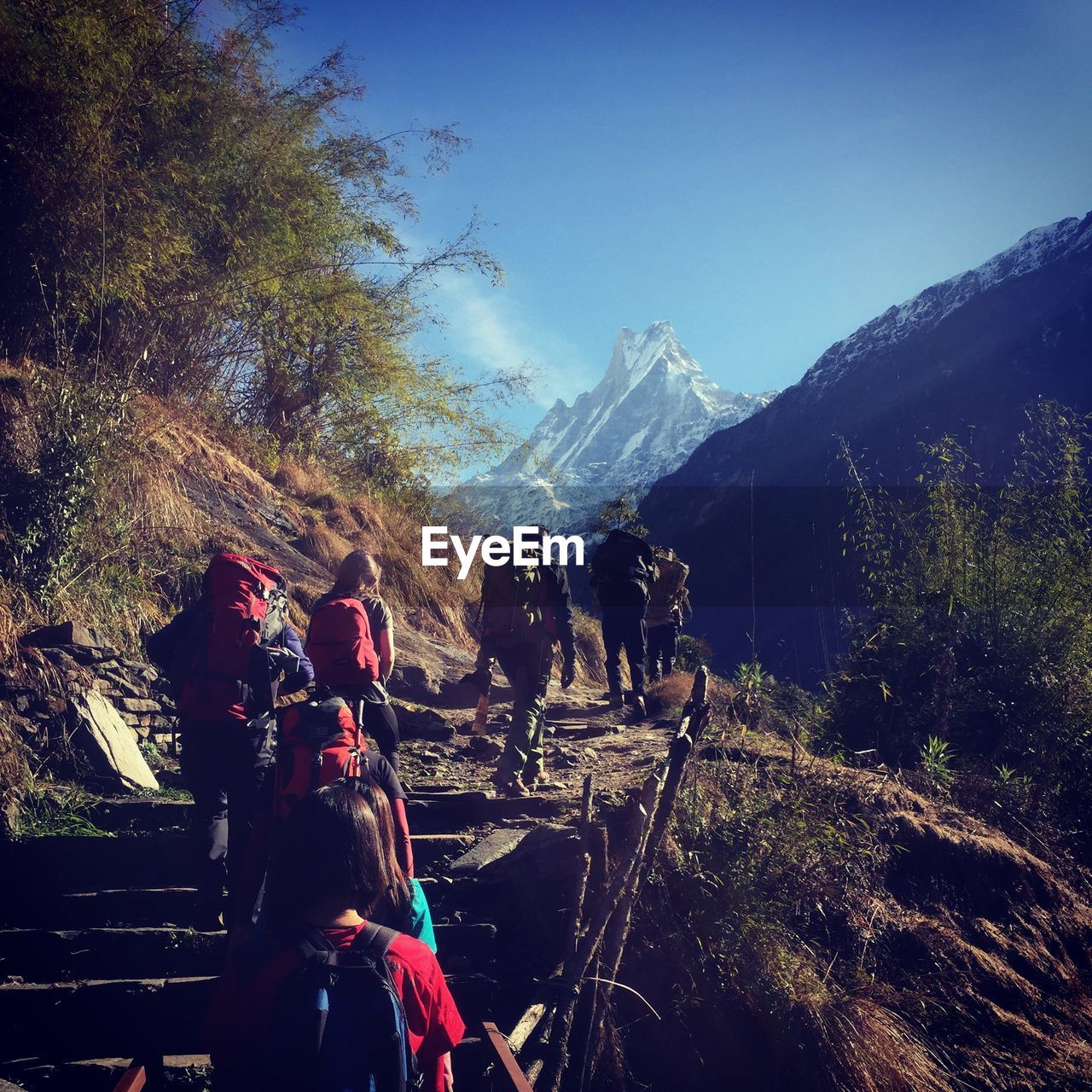 Rear view of people hiking on mountains