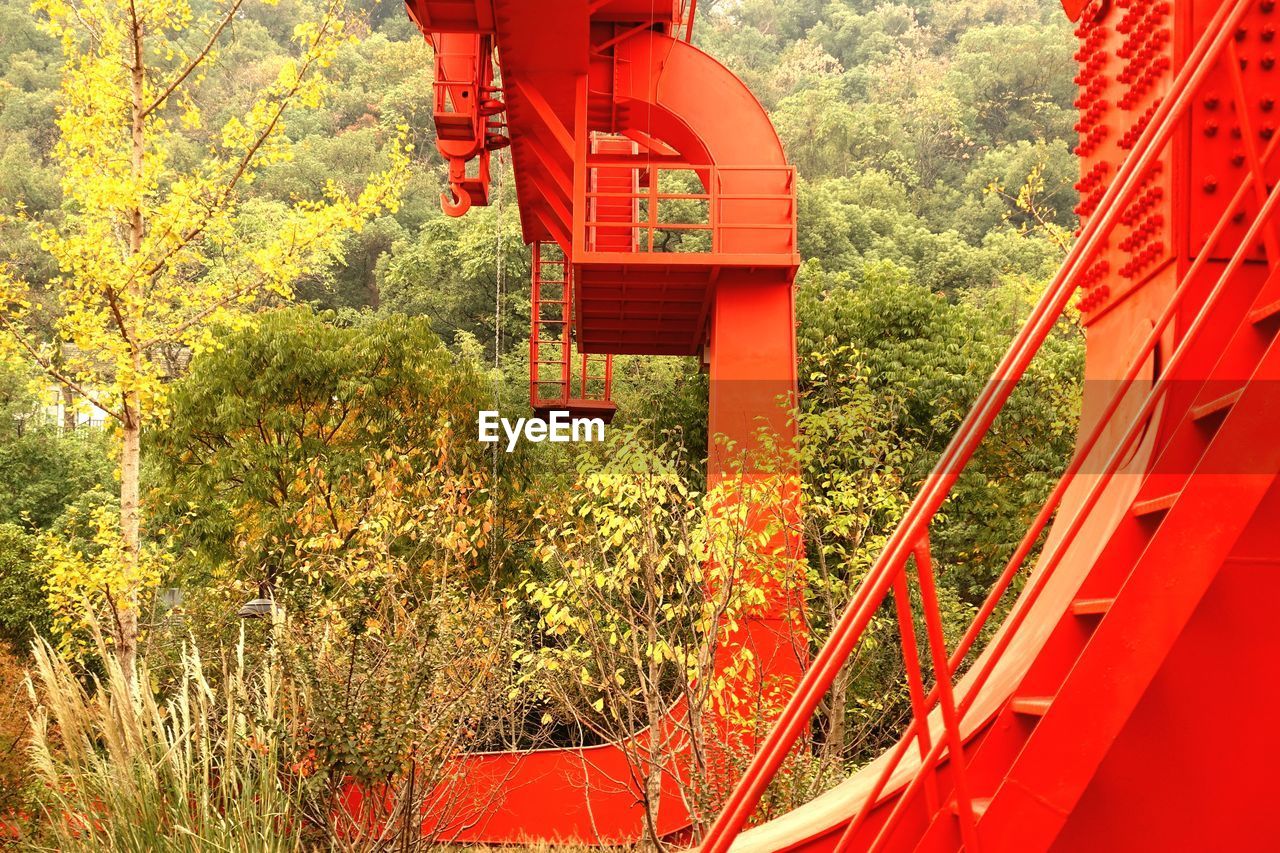 RED PLANTS AND TREES AGAINST BUILDING