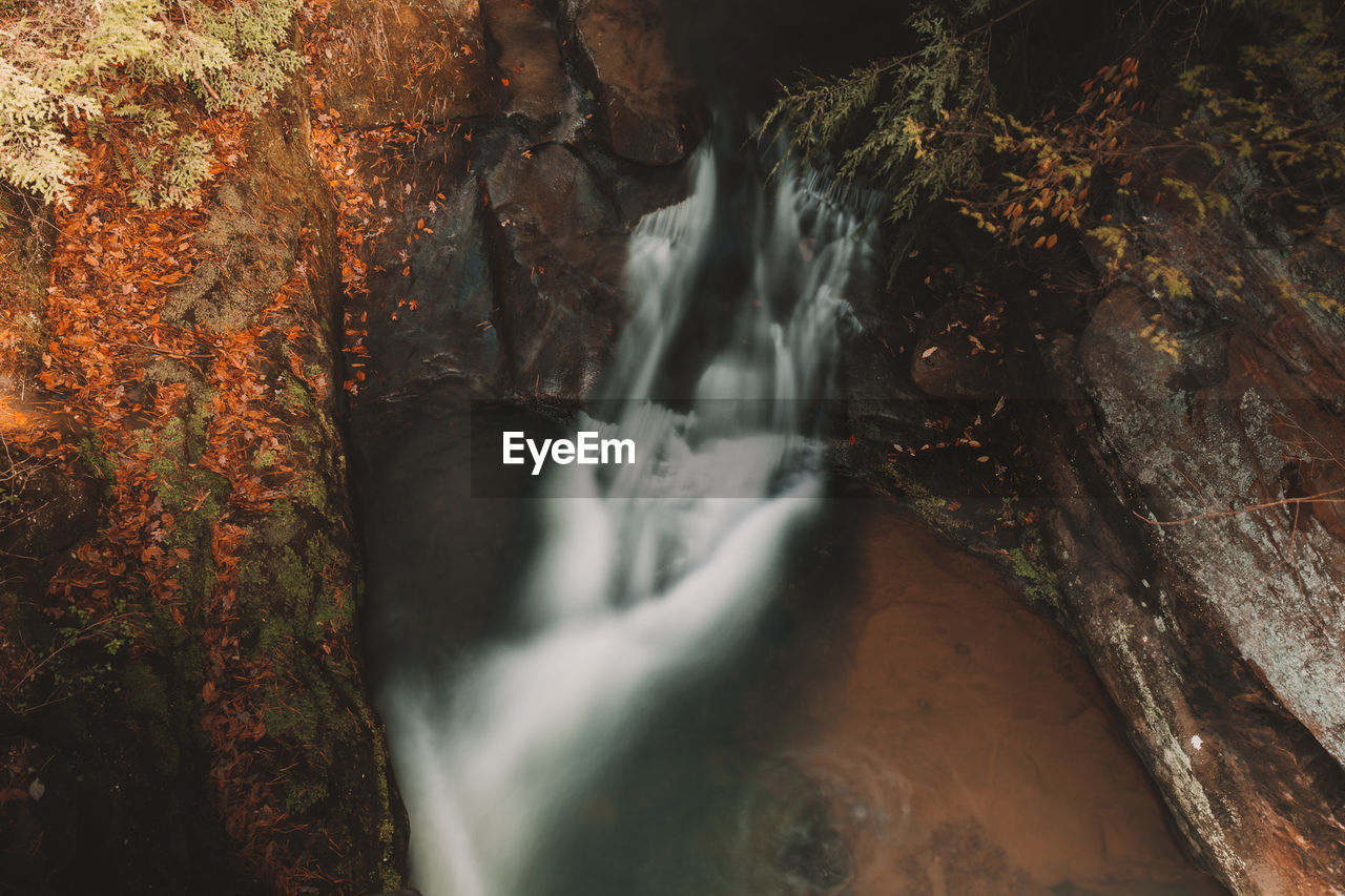 Scenic view of waterfall in forest