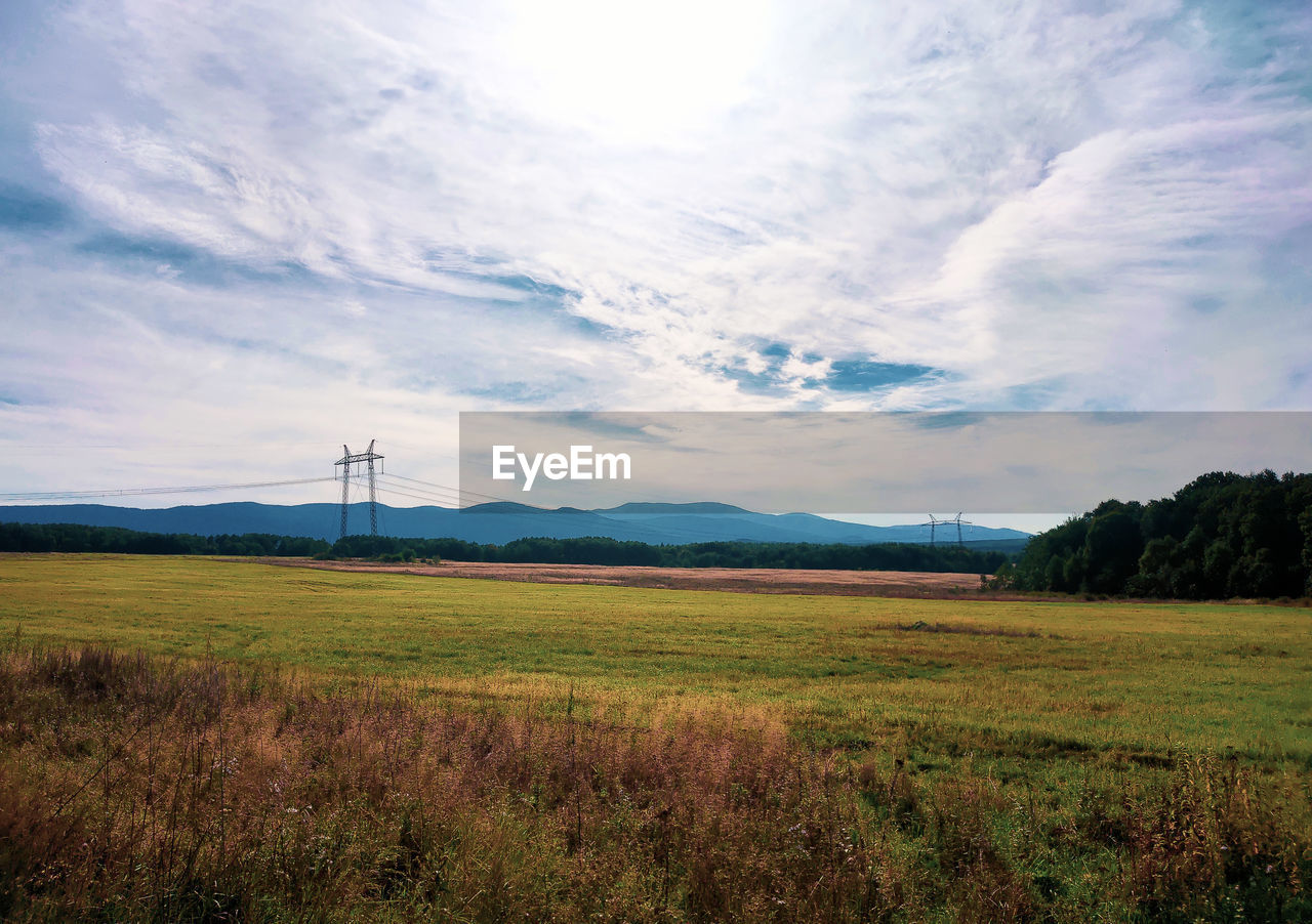 Scenic view of field against sky