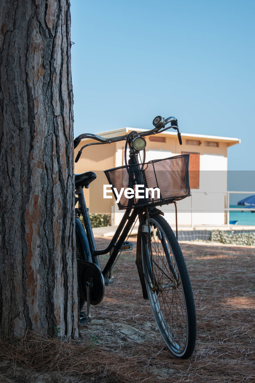Bicycle parked by tree trunk against clear sky and beach