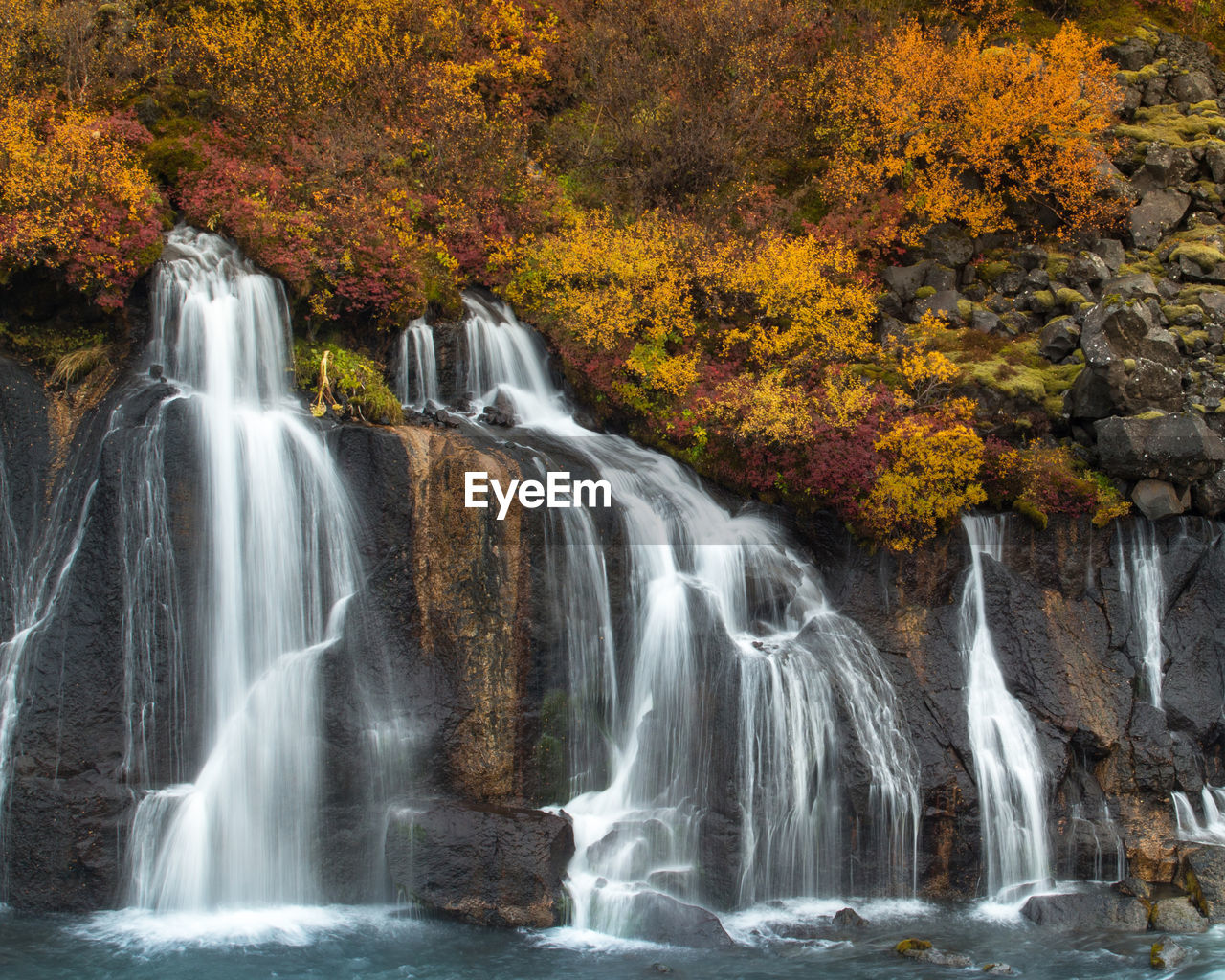 Scenic view of hraunfossar waterfall in forest during autumn  in iceland