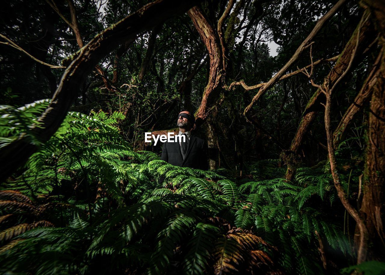 Full length of young man standing by tree in forest