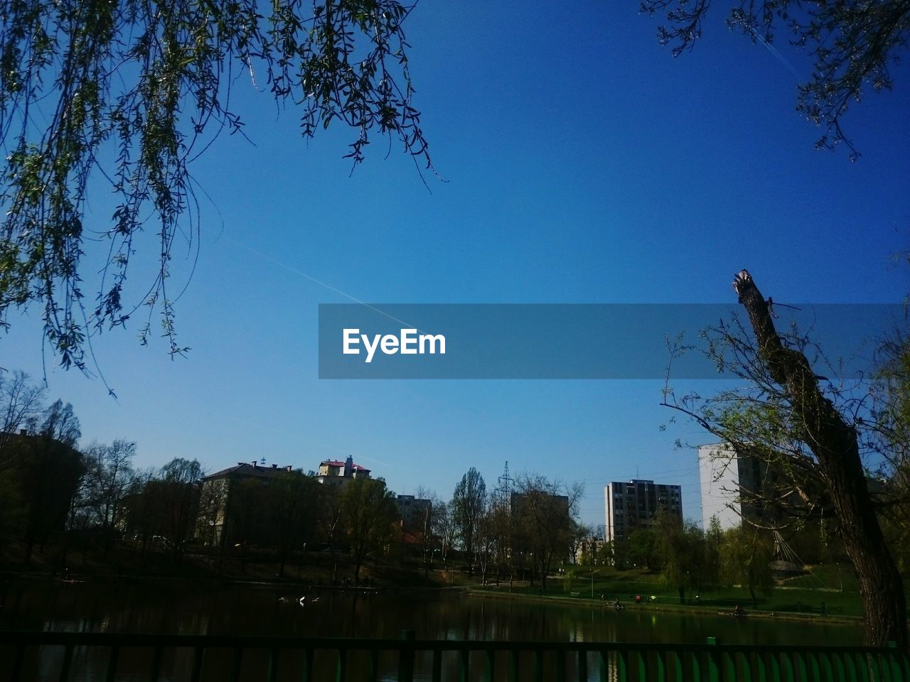 LOW ANGLE VIEW OF TREES BY WATER AGAINST SKY