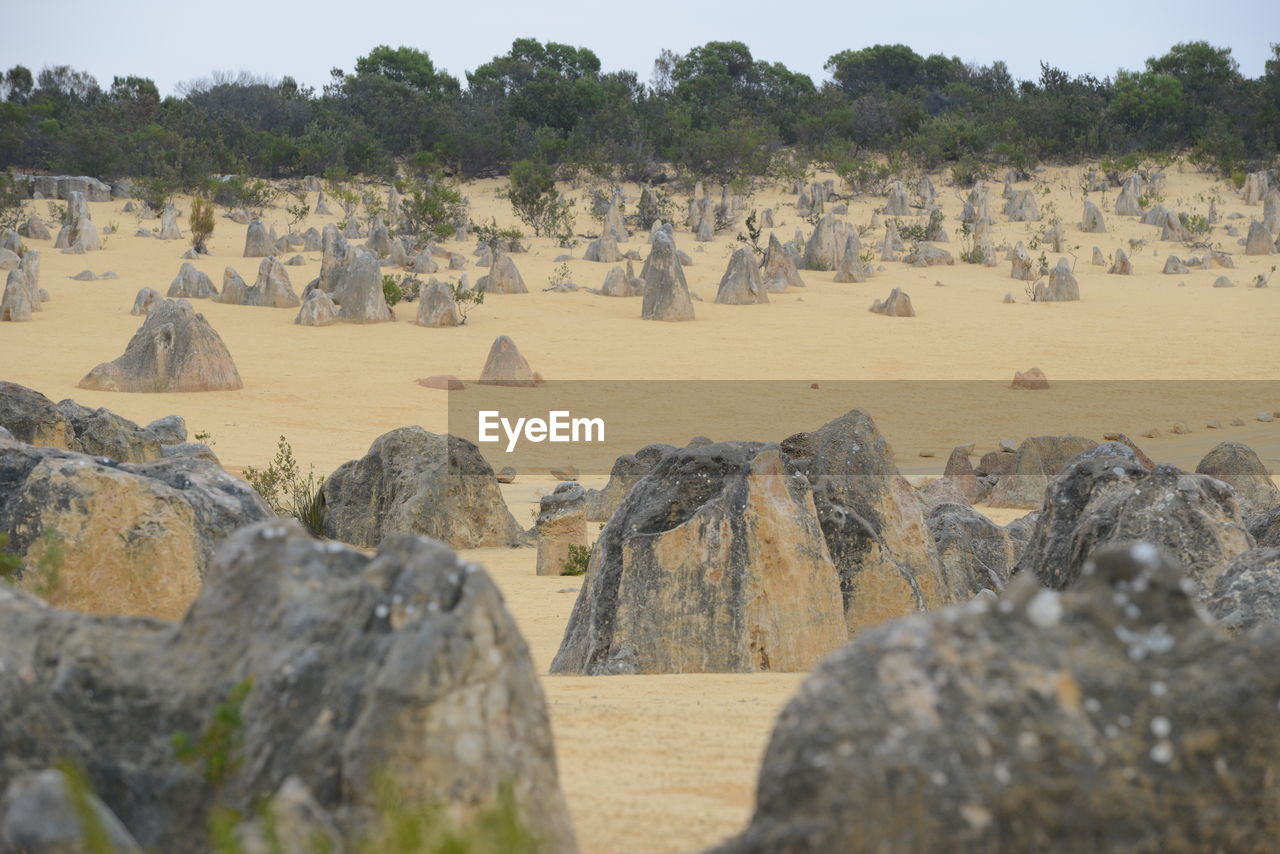 Panoramic view of rocks on landscape