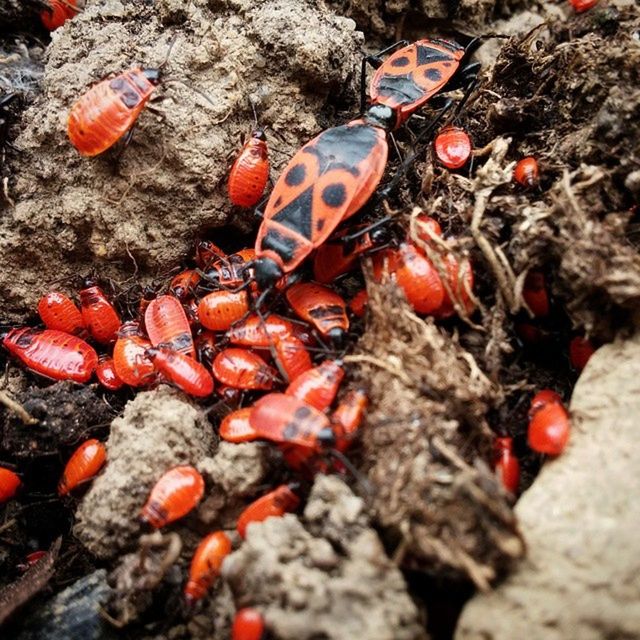 VIEW OF ROCKS IN WATER