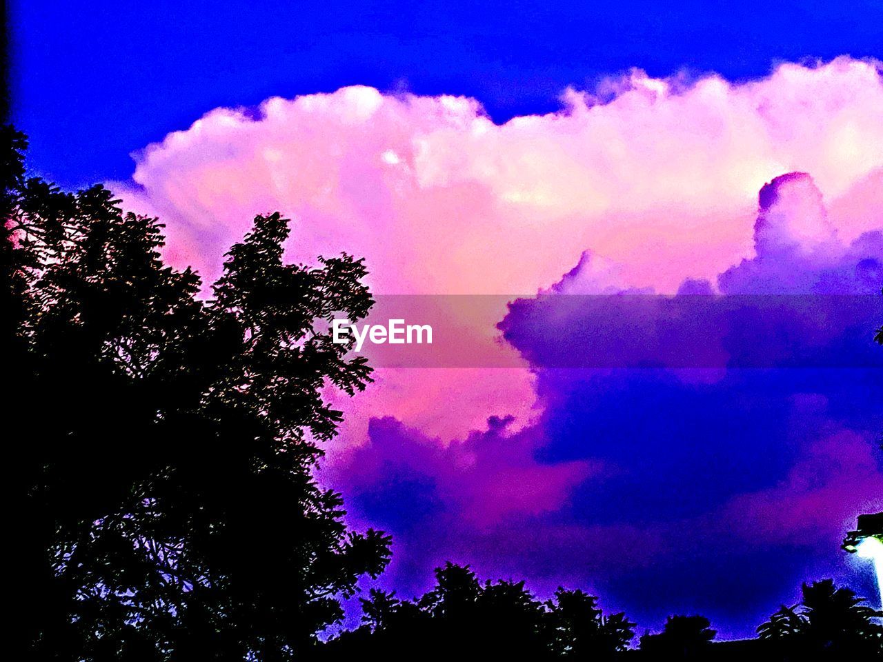 LOW ANGLE VIEW OF SILHOUETTE TREES AGAINST BLUE SKY DURING SUNSET