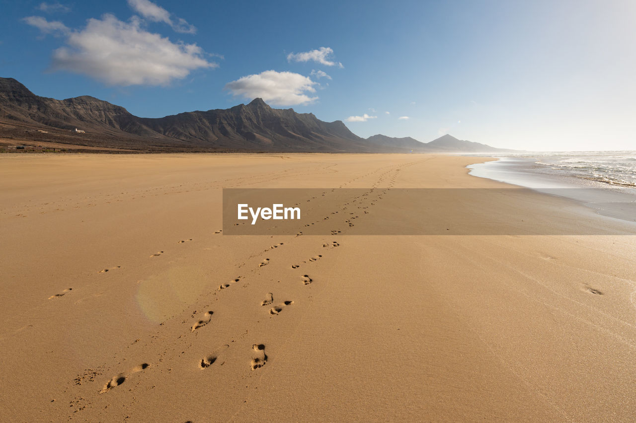 SCENIC VIEW OF BEACH