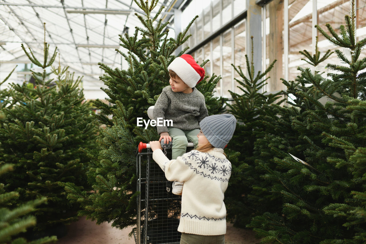 Sister band brother choose a christmas tree at a market.