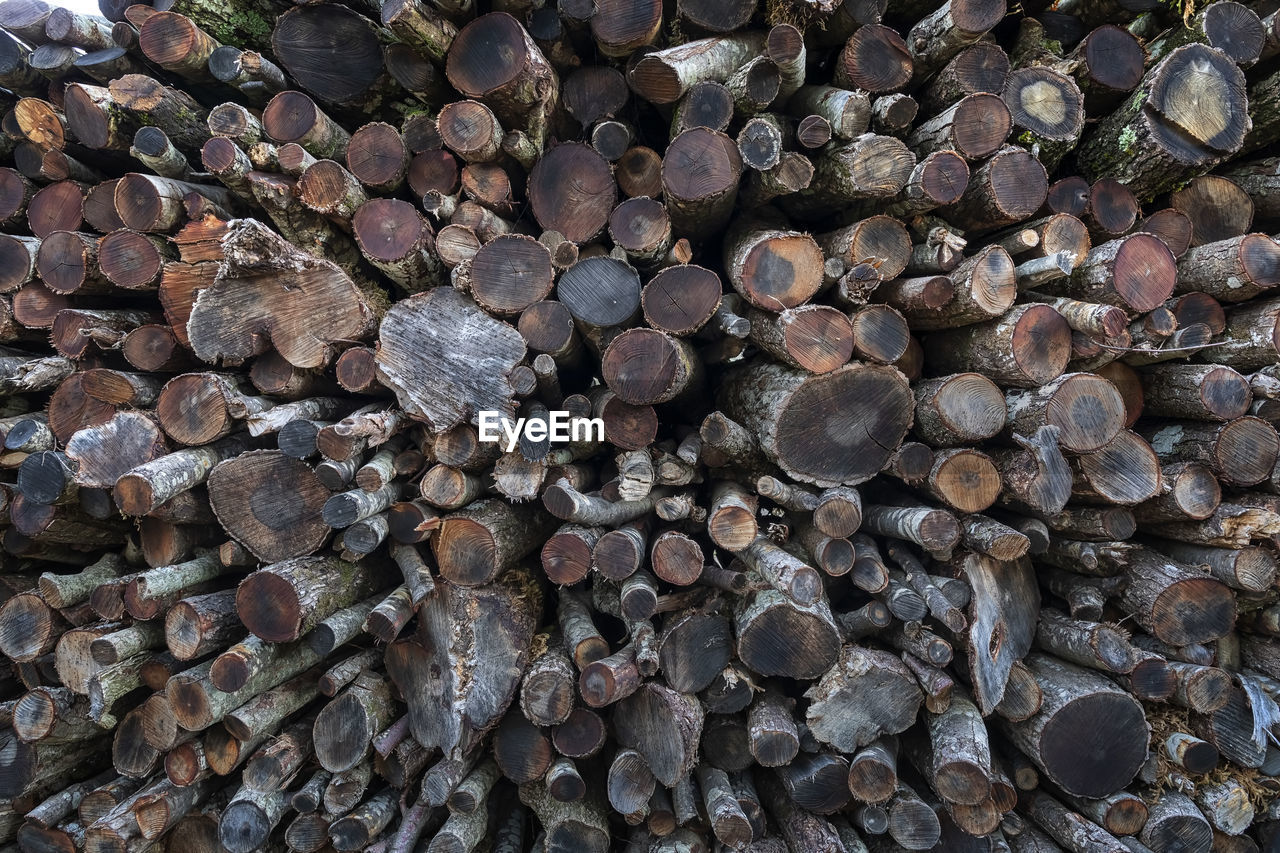 The wood rings, the grain and the structure of the wooden logs. 