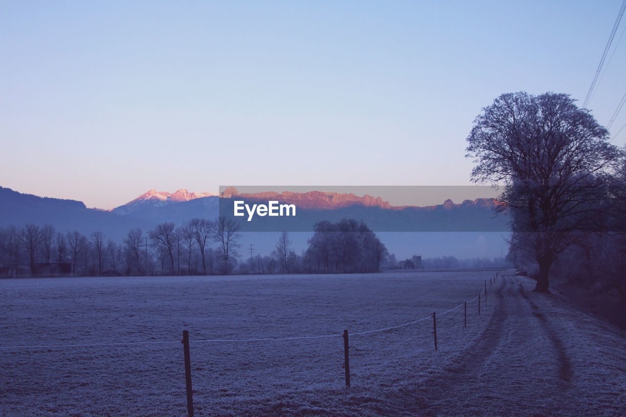 Scenic view of trees and mountains against clear sky