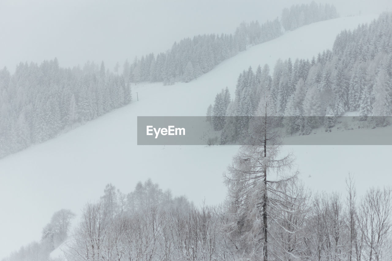 Scenic view of snow covered landscape