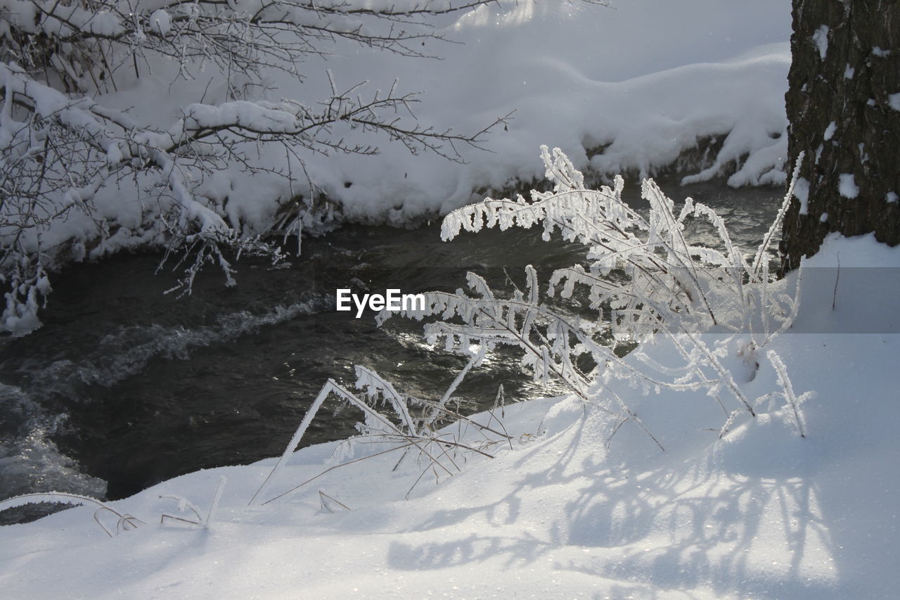 Scenic view of snow covered field