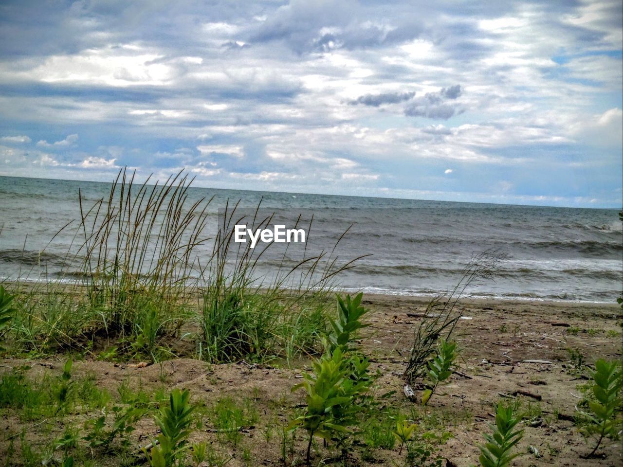 SCENIC VIEW OF SANDY BEACH AGAINST SKY