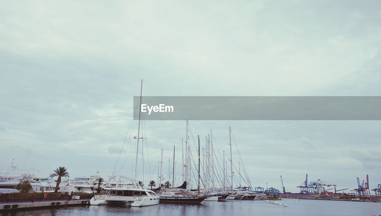 Boats moored at harbor against sky