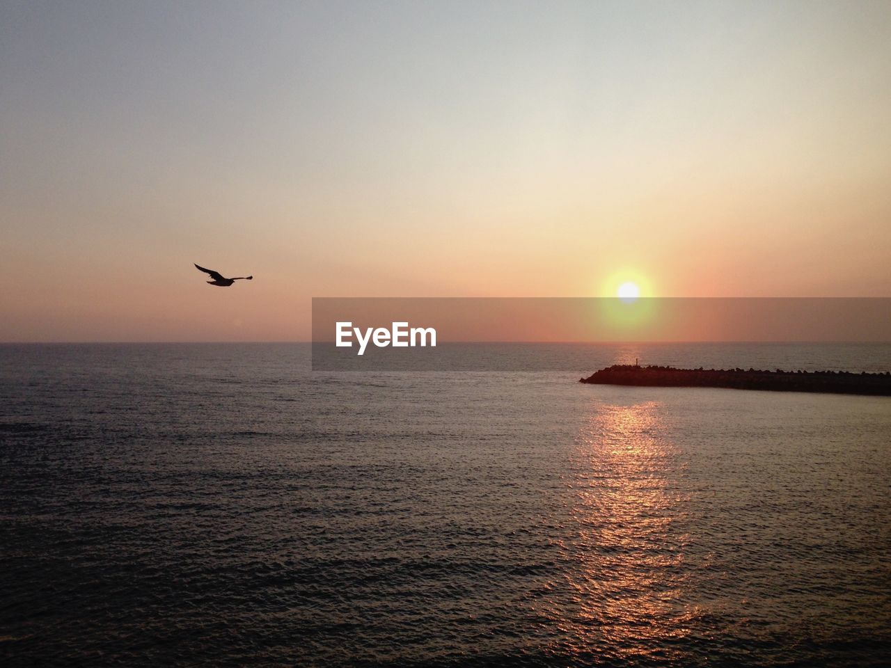 SILHOUETTE BIRD FLYING OVER SEA AGAINST CLEAR SKY