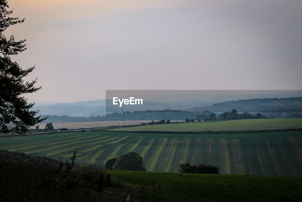 Scenic view of agricultural field against sky