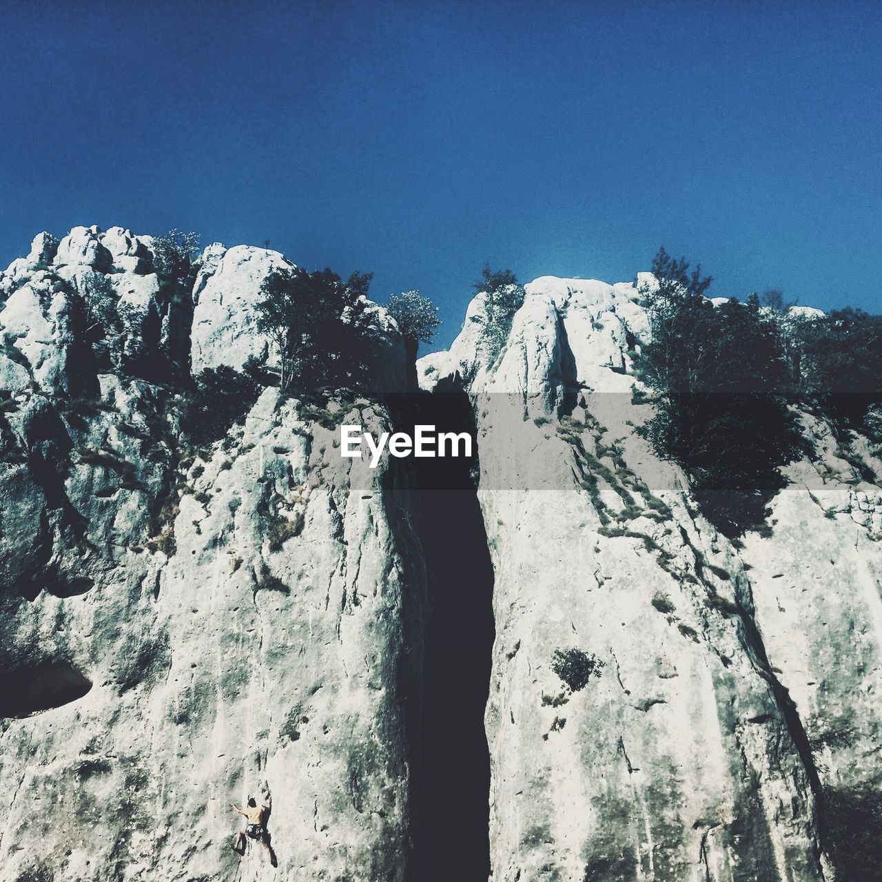 Low angle view of trees on mountain against clear sky