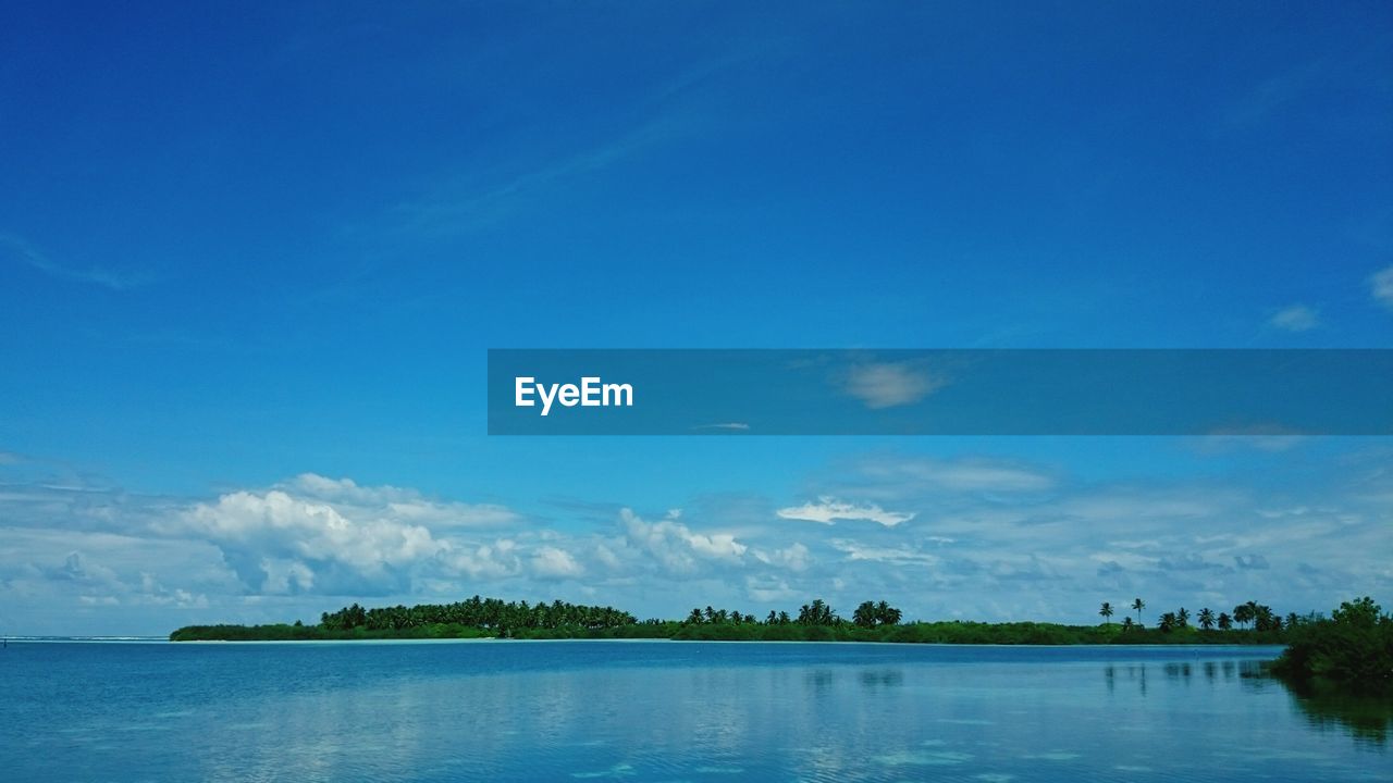 Scenic view of lake by trees against sky