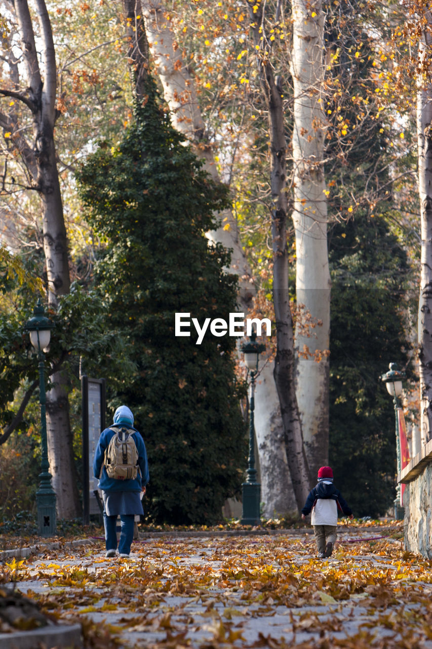 REAR VIEW OF A WOMAN WALKING ON AUTUMN TREES