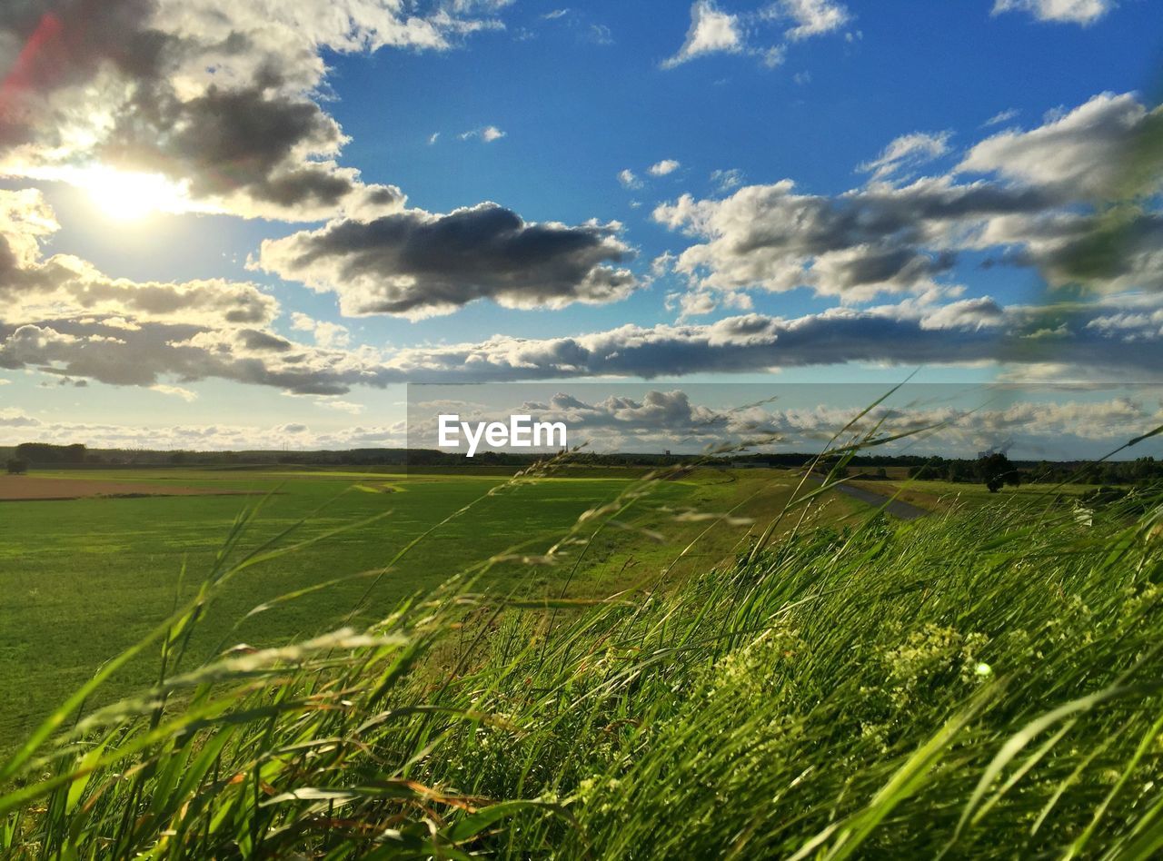 SCENIC VIEW OF GRASSY FIELD AGAINST SKY