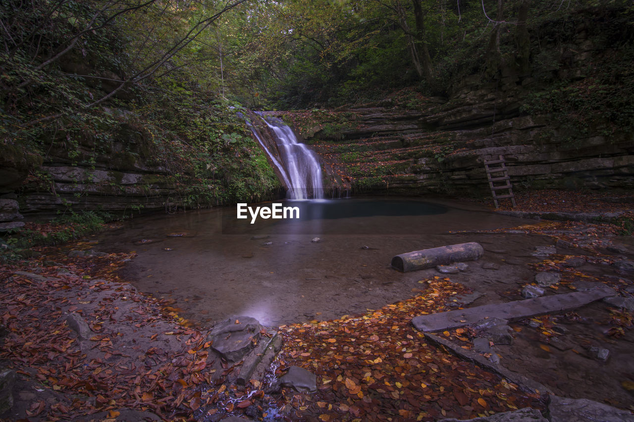 water, waterfall, tree, forest, scenics - nature, beauty in nature, long exposure, plant, nature, flowing water, land, body of water, wilderness, water feature, stream, motion, no people, environment, flowing, autumn, non-urban scene, river, rock, falling, tranquility, outdoors, woodland, day, blurred motion, tranquil scene, reflection, creek, travel destinations, idyllic, leaf, wet, watercourse, landscape, power in nature, growth