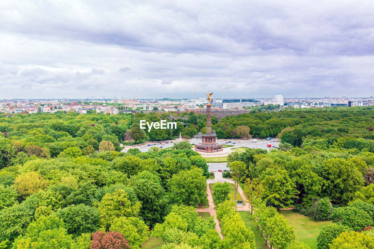 TREES AND PLANTS IN CITY AGAINST SKY