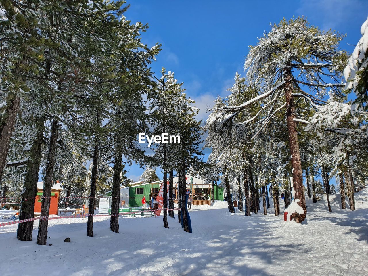 The mount olympos on troodos mountains in cyprus