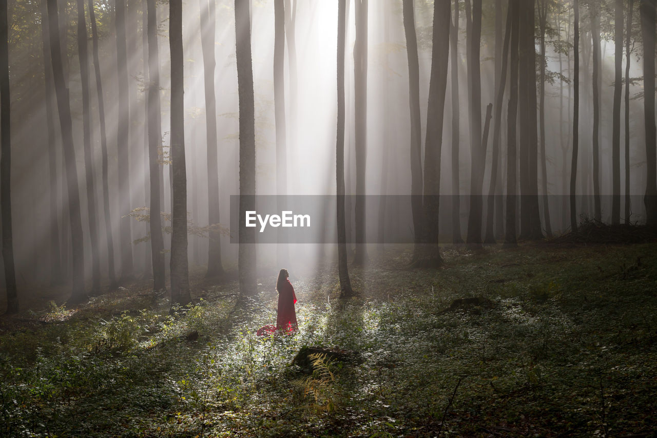 Woman with red blanket standing by tree trunks in forest