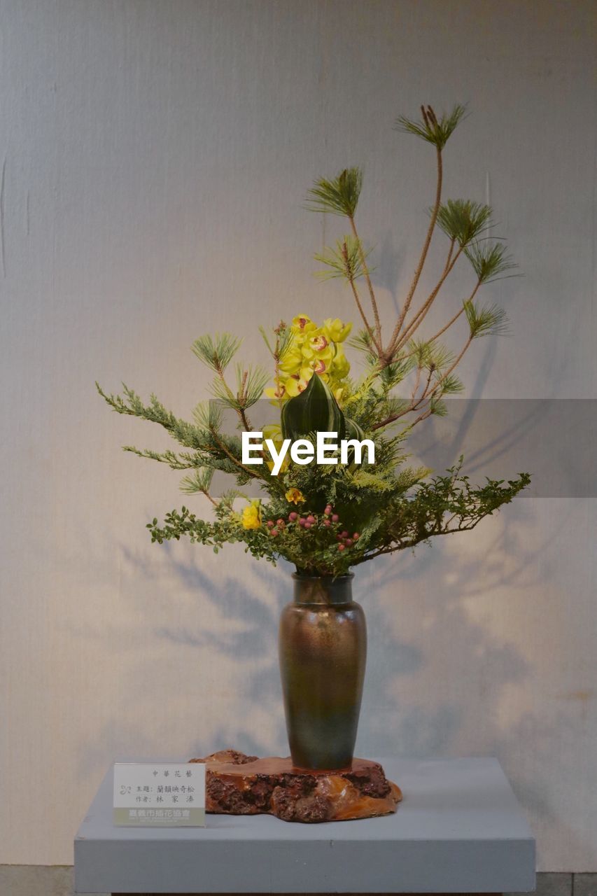 CLOSE-UP OF FLOWER VASE ON TABLE