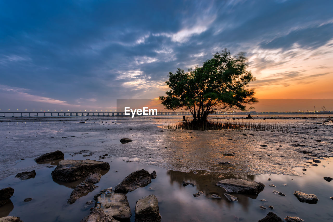 SCENIC VIEW OF SEA DURING SUNSET