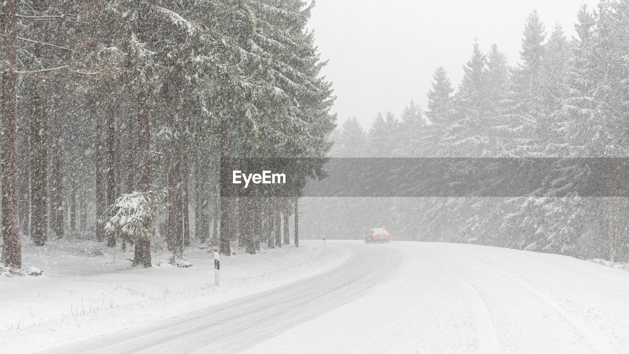 Snow covered road amidst trees during winter