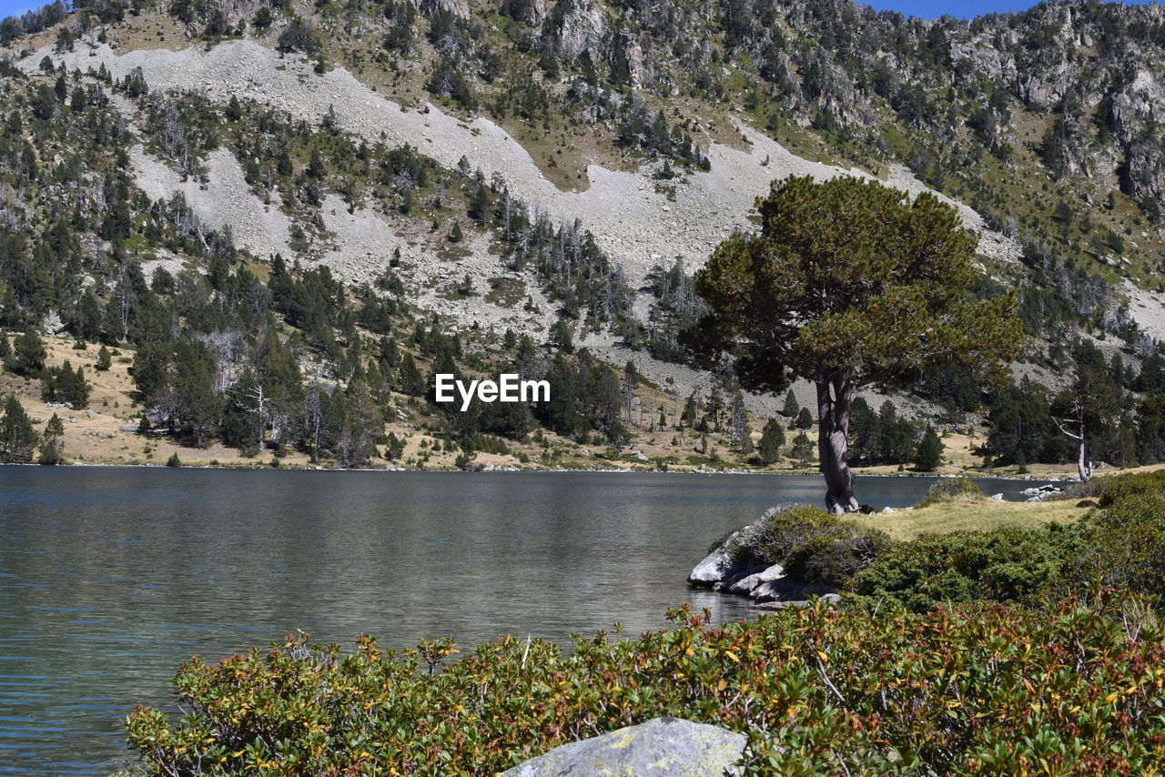 Scenic view of lake against mountain