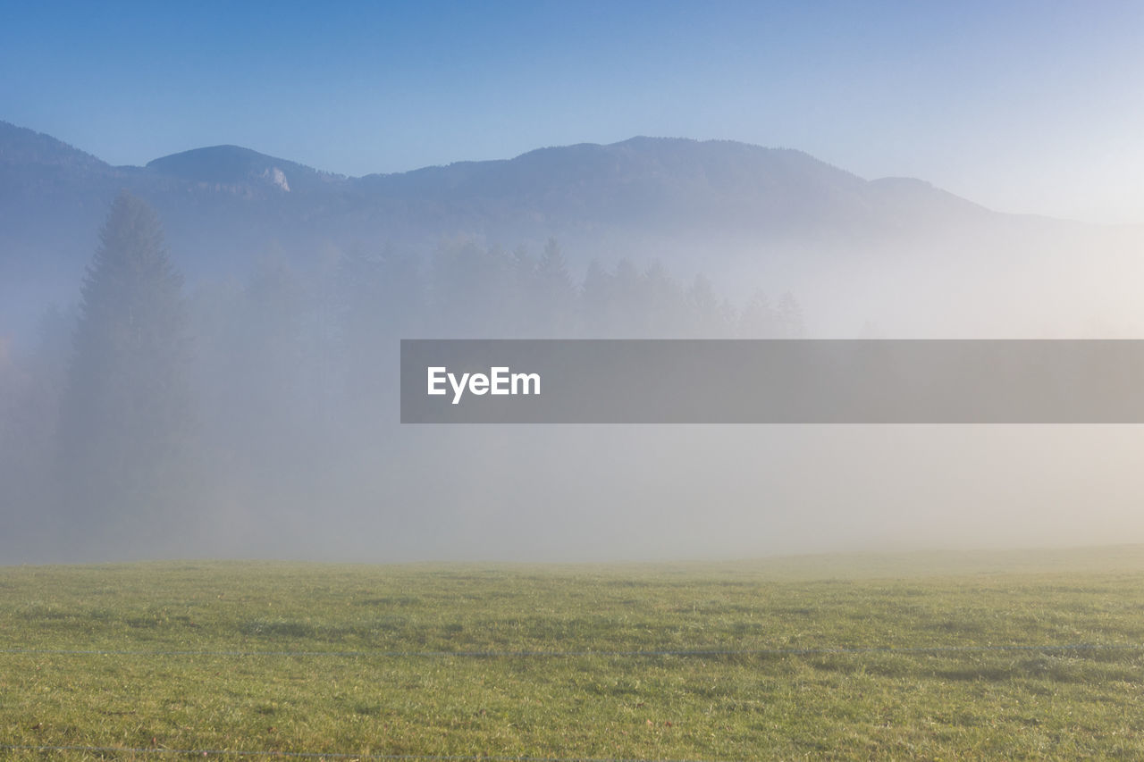 SCENIC VIEW OF GRASSY FIELD AGAINST SKY