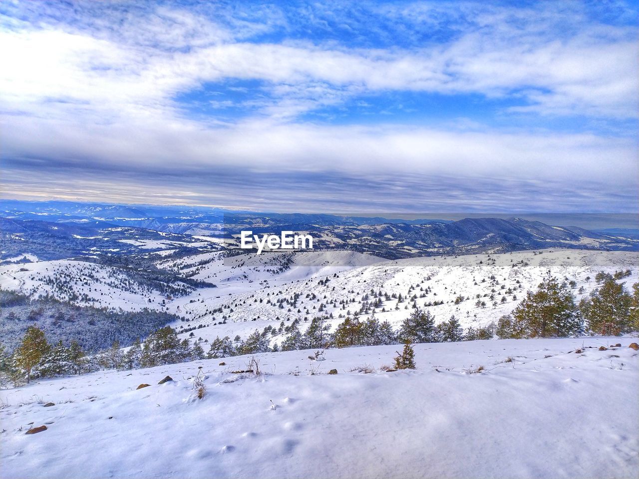 Zlatibor mountain