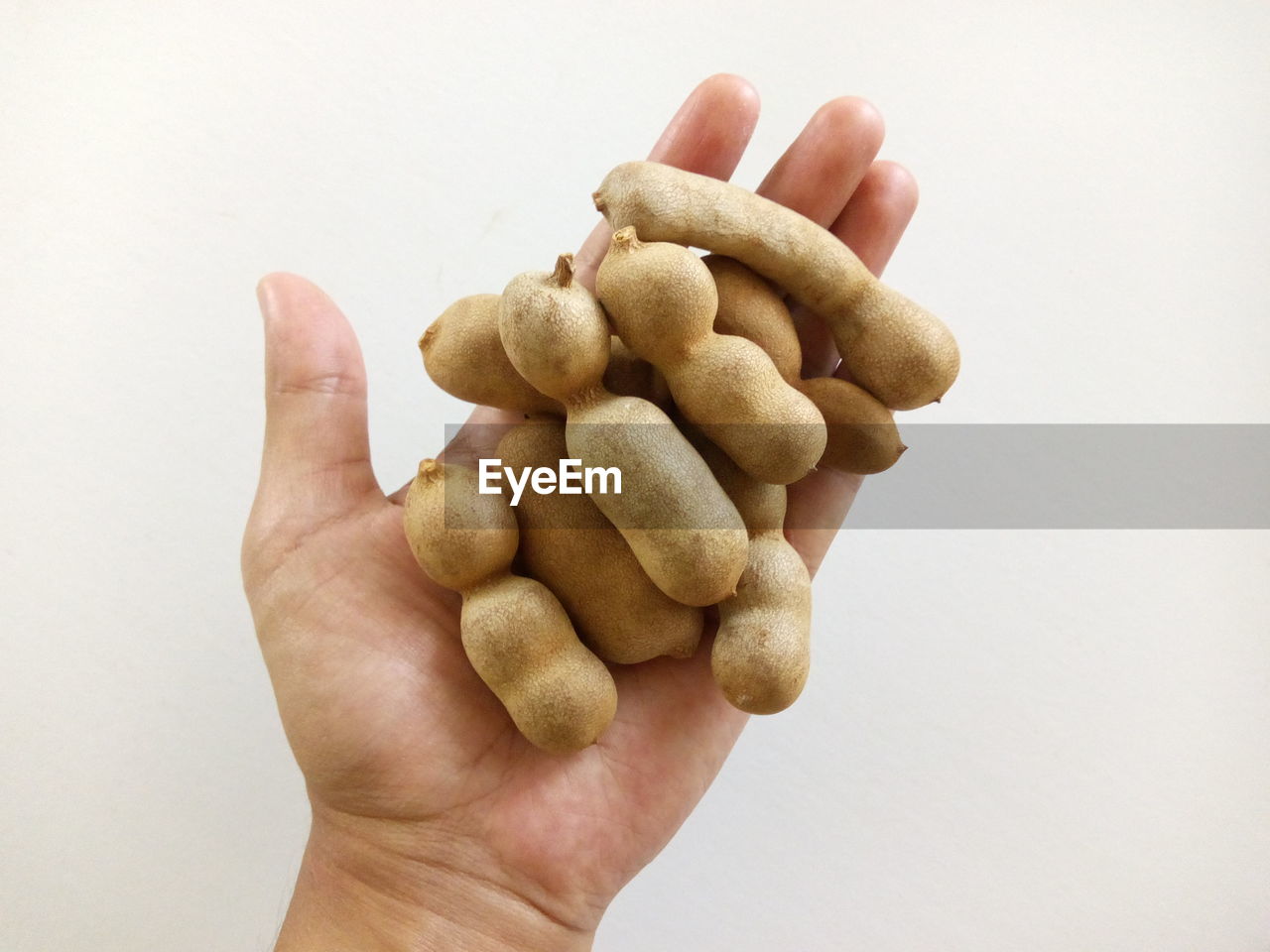 Close-up of hand holding tamarinds against white background