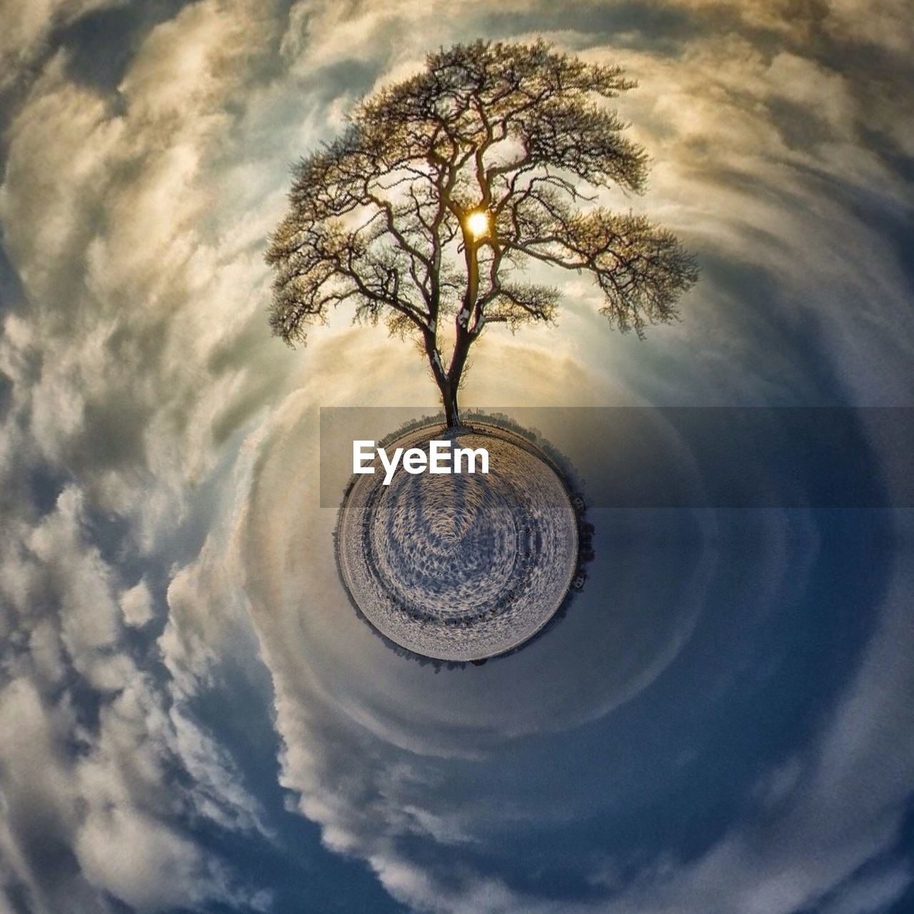 High angle view of tree along clouds