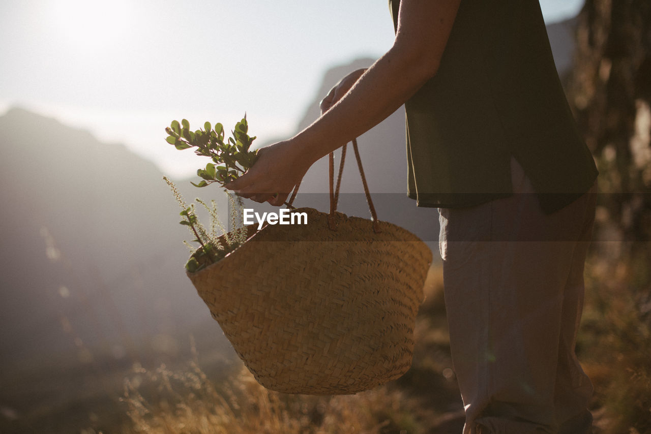 Midsection of woman picking plants