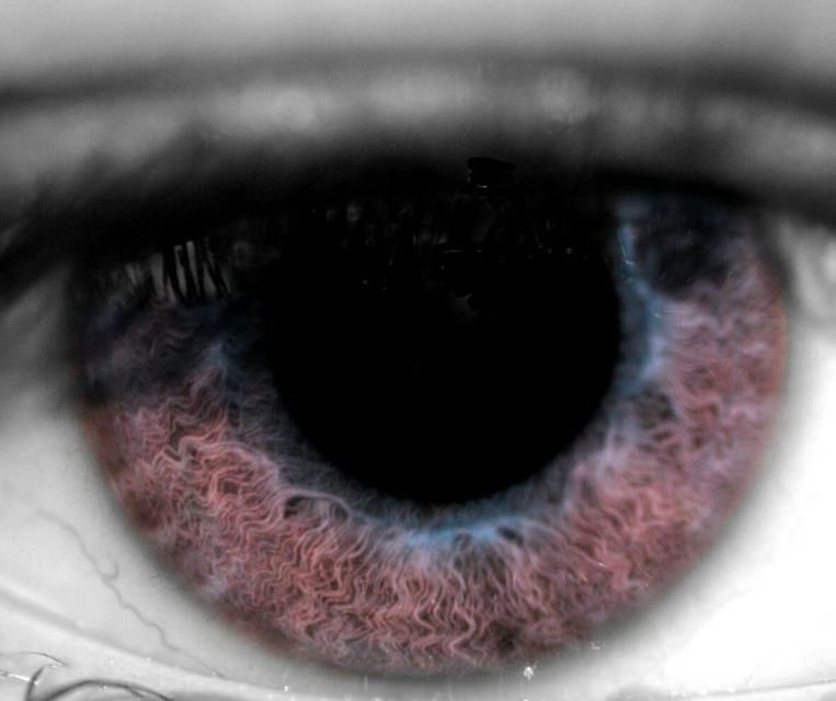 Macro shot of human eye