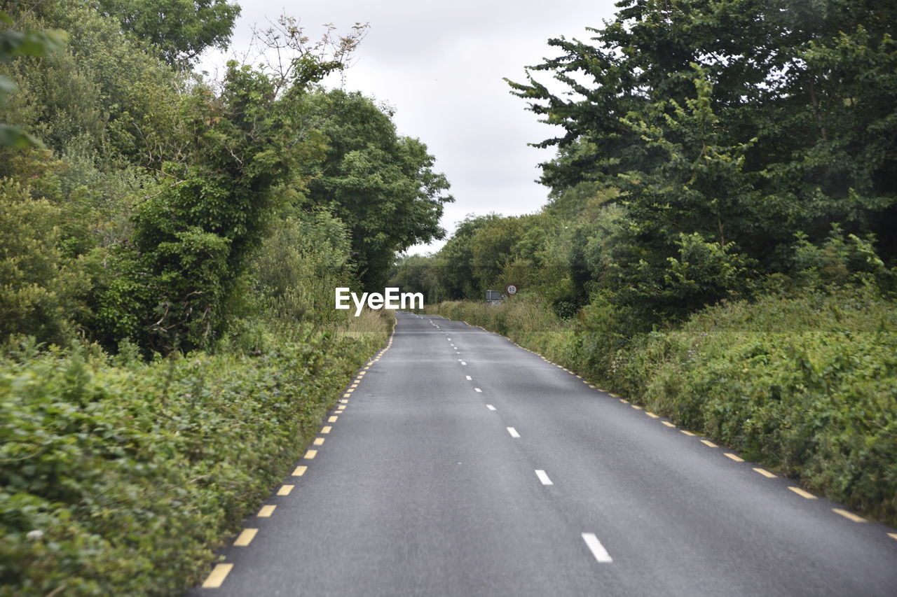Road amidst trees against sky