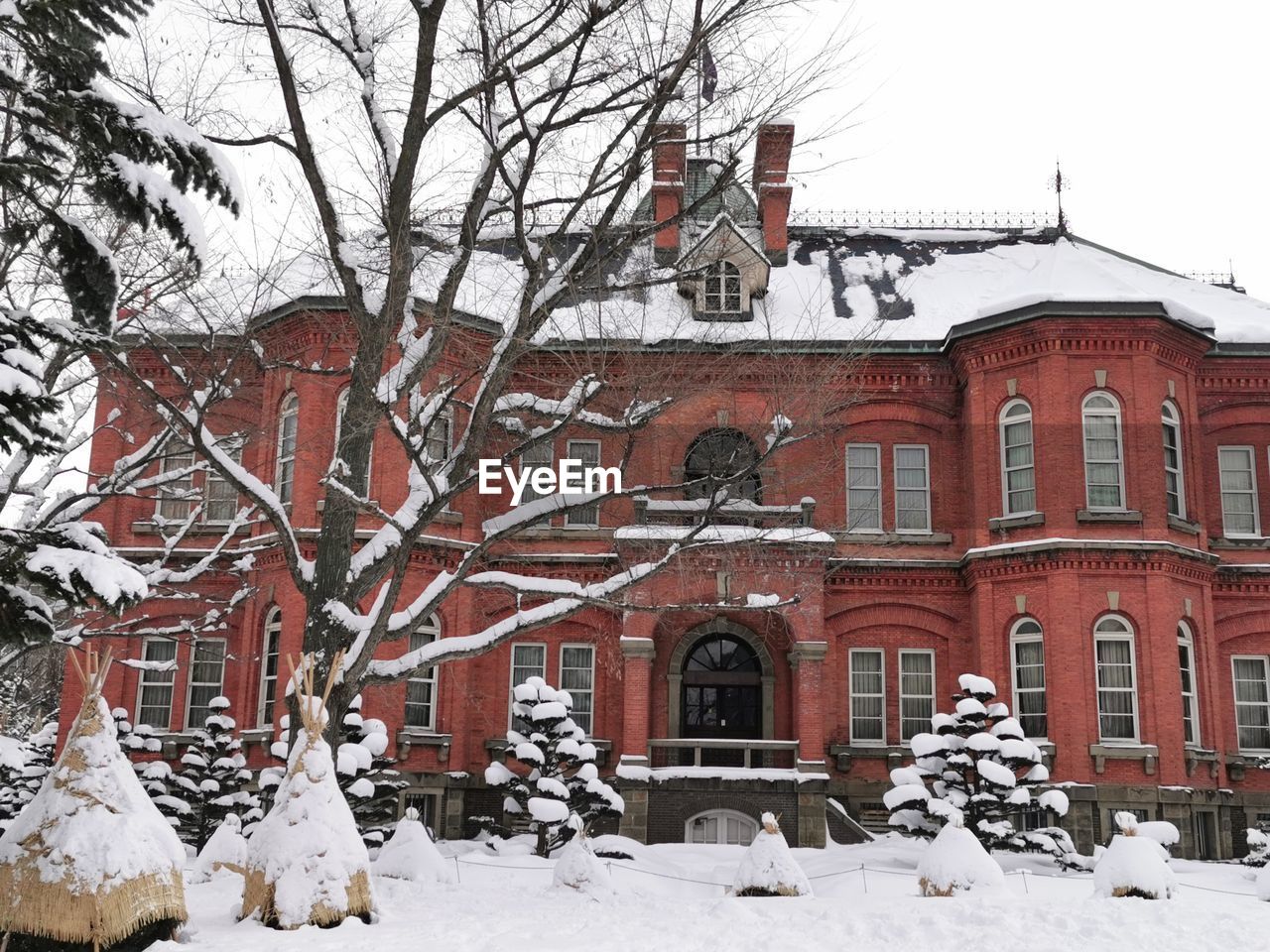 SNOW COVERED TREES AND BUILDINGS