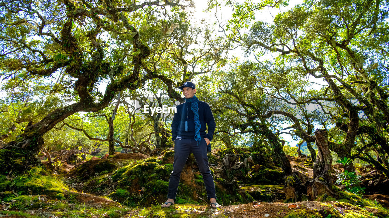 MAN STANDING BY TREE IN FOREST