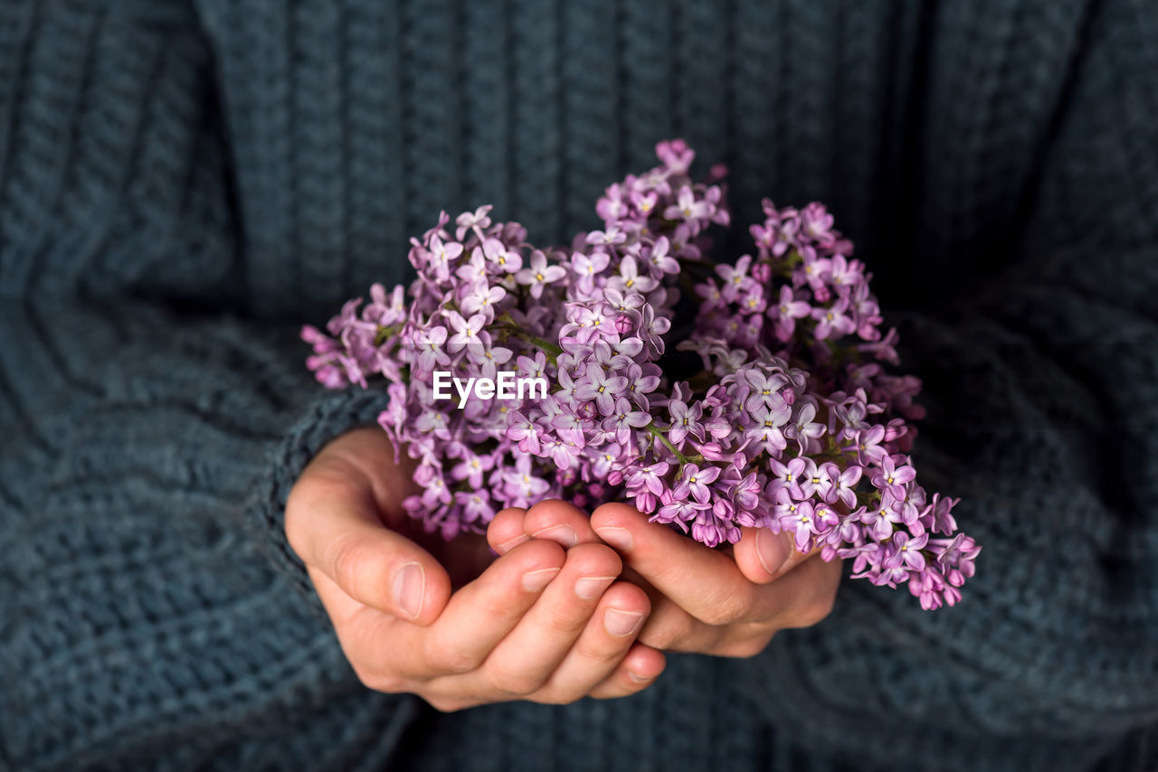 Midsection of person holding purple flowers