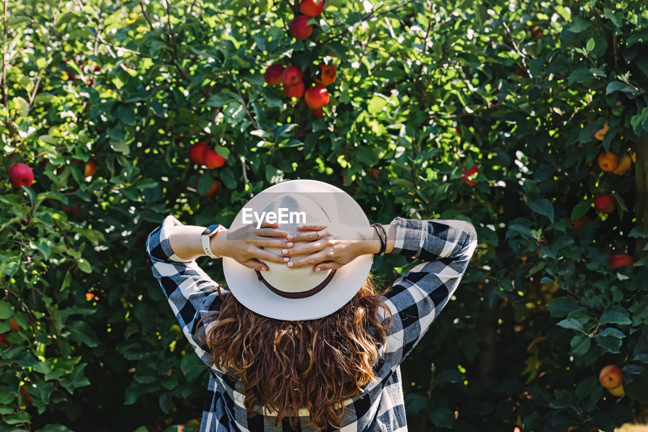 Woman in a hat looking on the tree with red ripe apples, countryside lifestyle person
