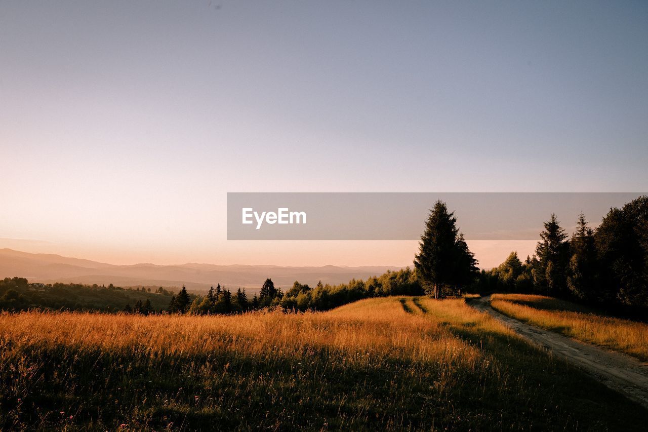 Scenic view of field against clear sky during sunset